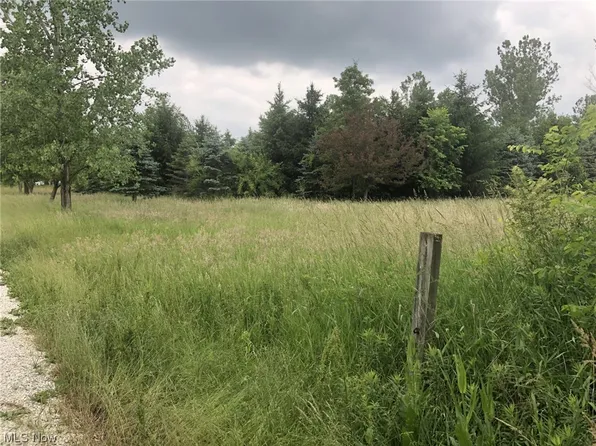 5705 Morrell Ray Rd, Bristolville, OH 44402