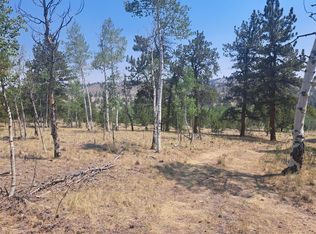 2338 Fitzsimmons Rd, Hartsel, CO 80449