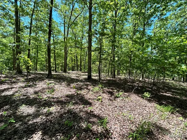 0 Turkey Foot Rd, Bourbon, MO 65441