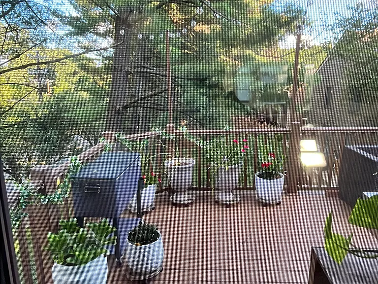 5985 Valerian Ln — Photo 3