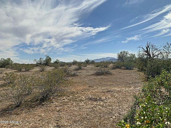 4th image of 0 W Pampas Grass Road #2