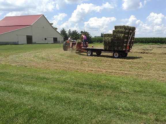 Plenty of hay for the horses