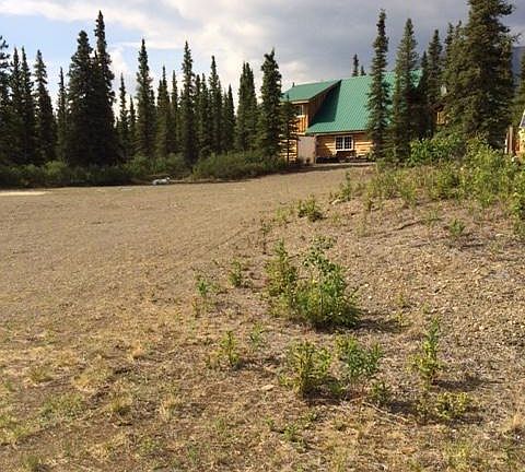 4th image of Mp 229.50 Parks Hwy