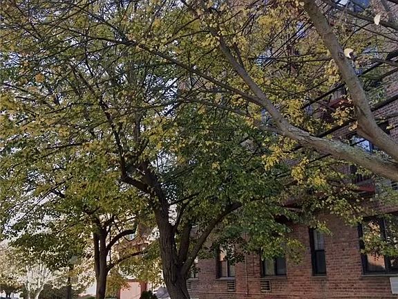 2nd image of 78-06 46th Ave #1C