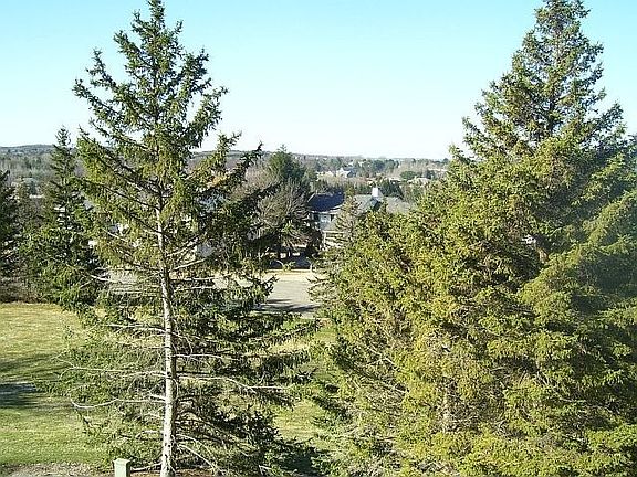4th image of 5049 Valleyway Dr
