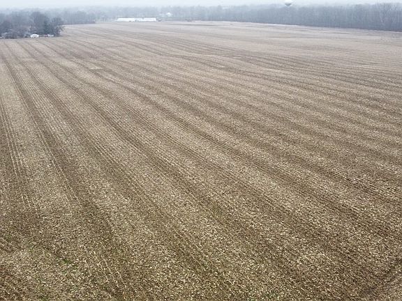 3rd image of 3448 Turnbull Rd