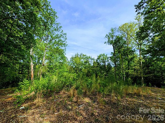 4th image of 426 Mountain Ridge Ct