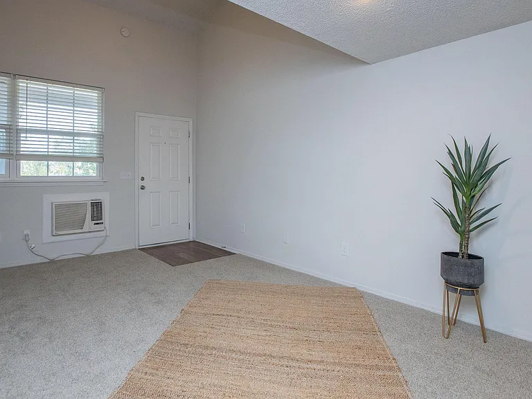 Braxton Place — Photo 45