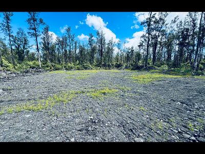 Pikake St, Mountain View, HI, 96771