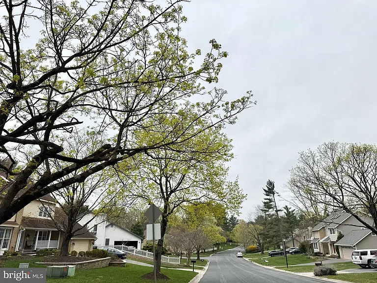 14713 Flints Grove Pl — Photo 51