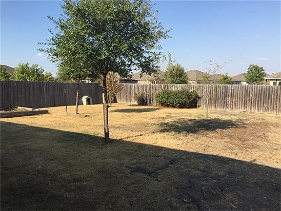 Large back yard with multiple trees. Sprinkler system will