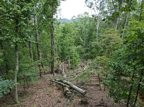LOT 1 Birchwood Dr, Morganton, GA 30560