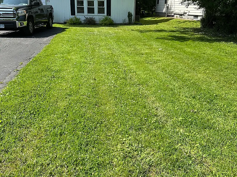 377 French Rd — Photo 9