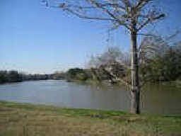 4th image of 15622 Oyster Cove Dr