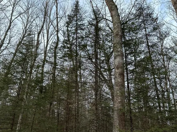 Near Cth #X, Three Lakes, WI 54562