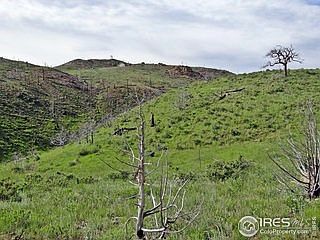 5th image of 84 Carson Peak Ct
