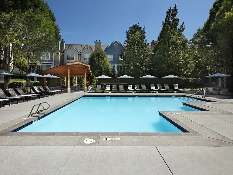 Swimming pool and sundeck