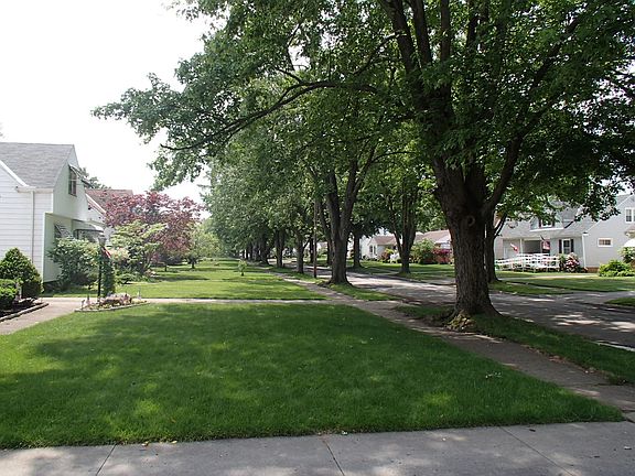 Tree Lined Street