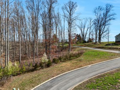 LOT 133 Saddleback Ridge Rd, Rutledge, TN, 37861