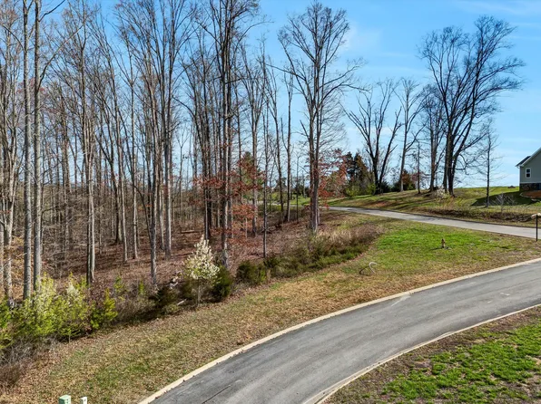 LOT 133 Saddleback Ridge Rd, Rutledge, TN 37861
