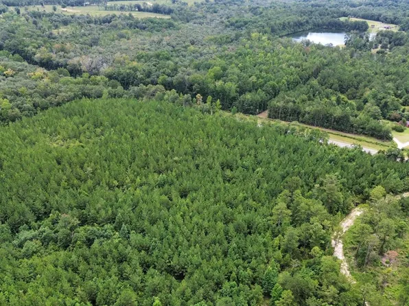 TRACT 10 Highway 80, Opelika, AL 36804
