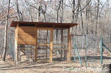 Chicken Coop