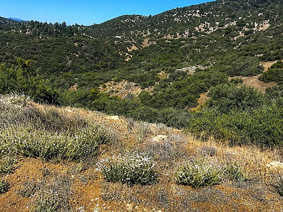 4th image of 0 Pine Ridge Rd Lot 22