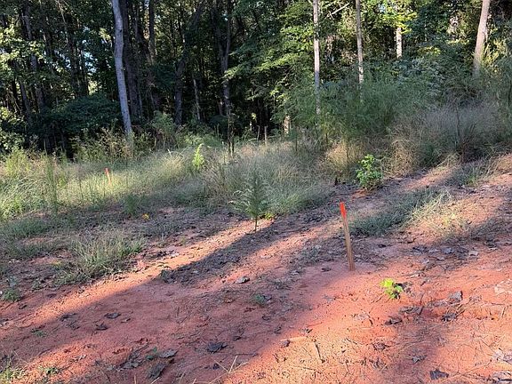 2nd image of 92 Ida Pace Rd
