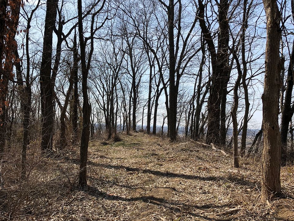 Secluded home site. 