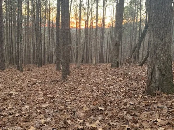 3820 Overlook Dr, Dadeville, AL 36853