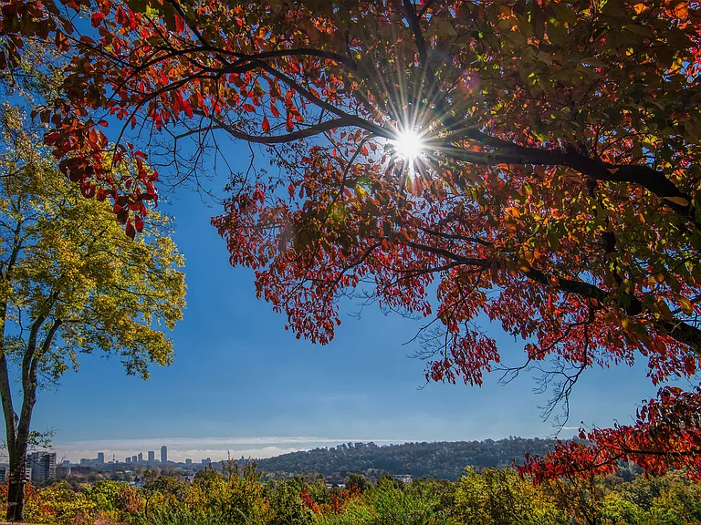 Rivercliff Estate Apartments in Little Rock, AR