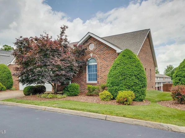 20 Oak Leaf Ct #20, Johnson City, TN 37601