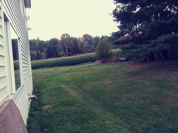 Side of house/yard