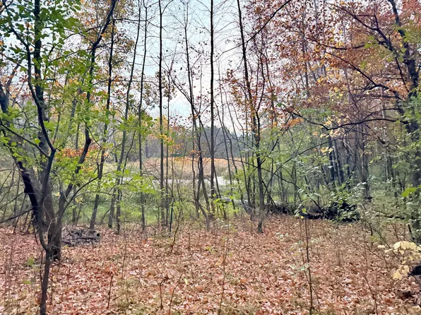 11832 County Road 51 St, Saint Joseph, MN 56374