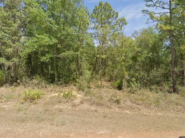 6575 W Pershing Dr Lot 19, Homosassa, FL 34448
