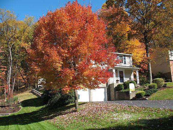 Autumn