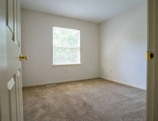 Webster Woods Townhouse Apartments — Photo 40
