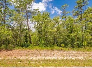 10382 Flycatcher Rd, Brooksville, FL 34613