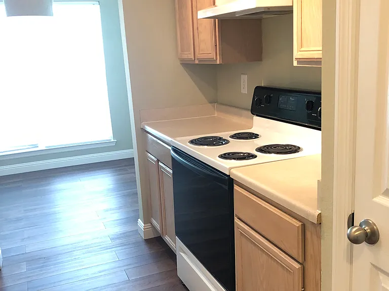 700 Daniel Ellis Dr #9105 — Photo 5
