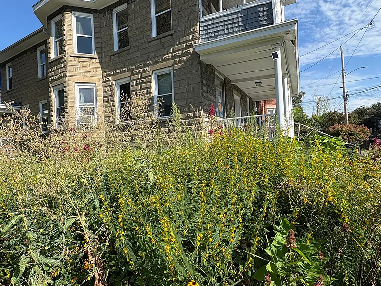 81 Wh Liberty St — Photo 25