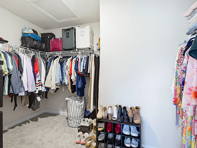 Master walk in closet