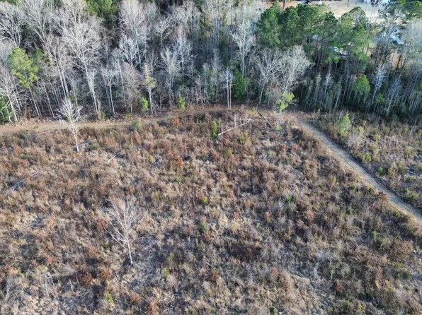 0 E Myrtle Beach Hwy Tract 2, Johnsonville, SC 29555