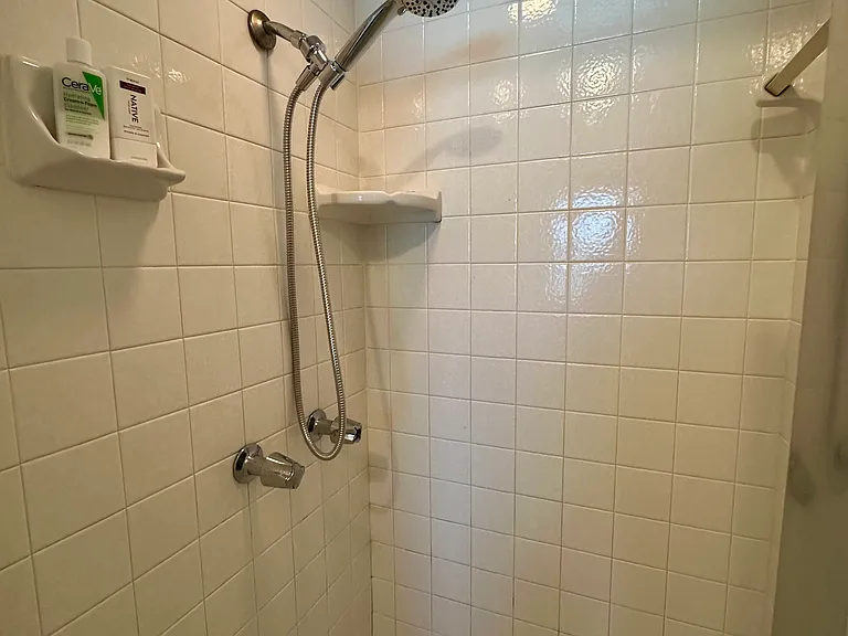 Primary bathroom shower stall with garden tub