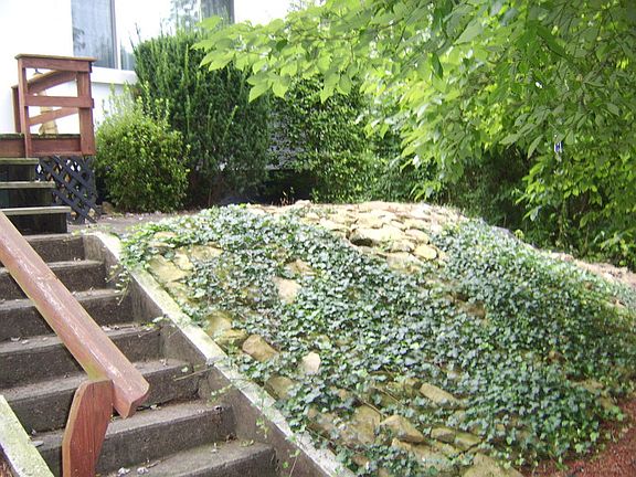 Mature Landscape
						:
						fully landscaped with established growth
