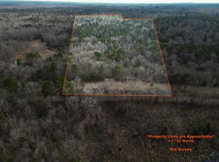 20113 Starnes Loop, Gladewater, TX 75647