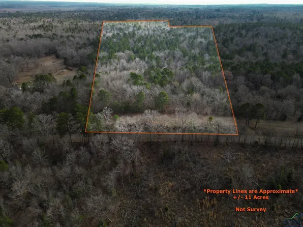 20113 Starnes Loop, Gladewater, TX 75647