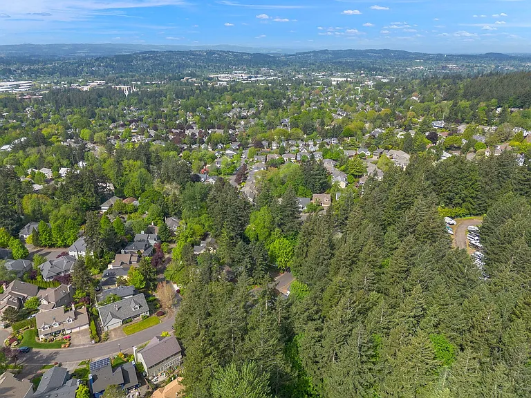 13278 Vermeer Dr — Photo 53