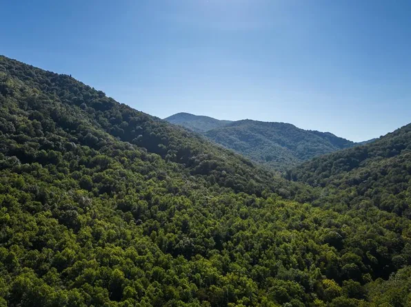 0 Crabtree Falls Hwy, Tyro, VA 22976