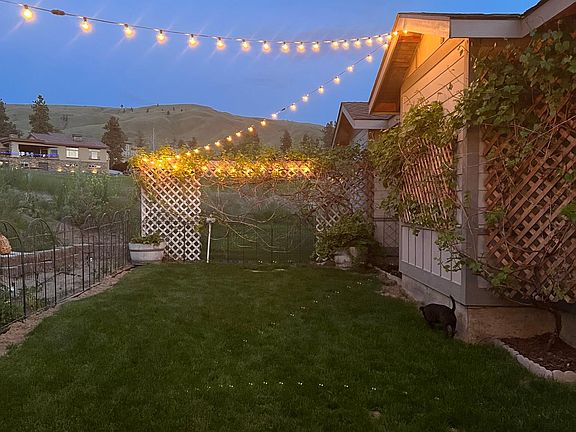 Front yard-fenced in. Green grape vines lining back of garage and along trellis. Area to the left that always space for garden or extra grass. Not in the photo is the covered patio