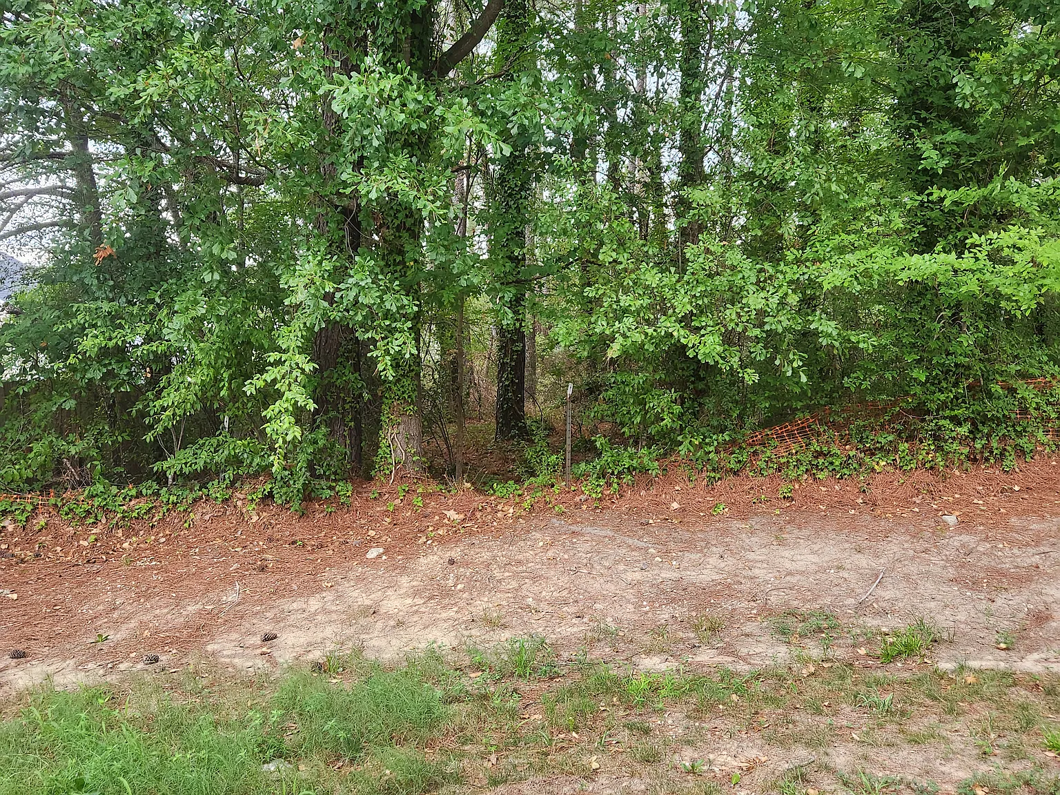 4 bed, 2.5 bath, 1602 sqft, $2,200 — Photo 2